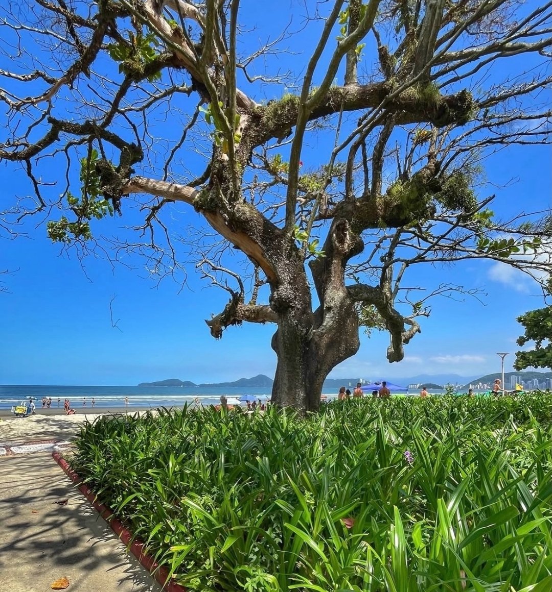 Buon sabato a tutti, che questa giornata sia serena e rilassante 😊🙌