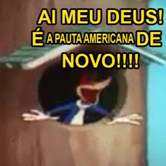 Savio di Maio tweet media