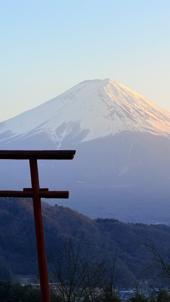 Couple of Gaming tweet media