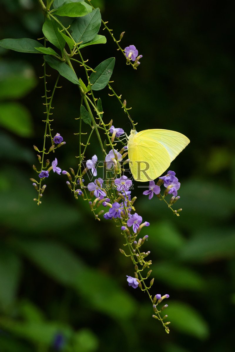 catherine tweet media