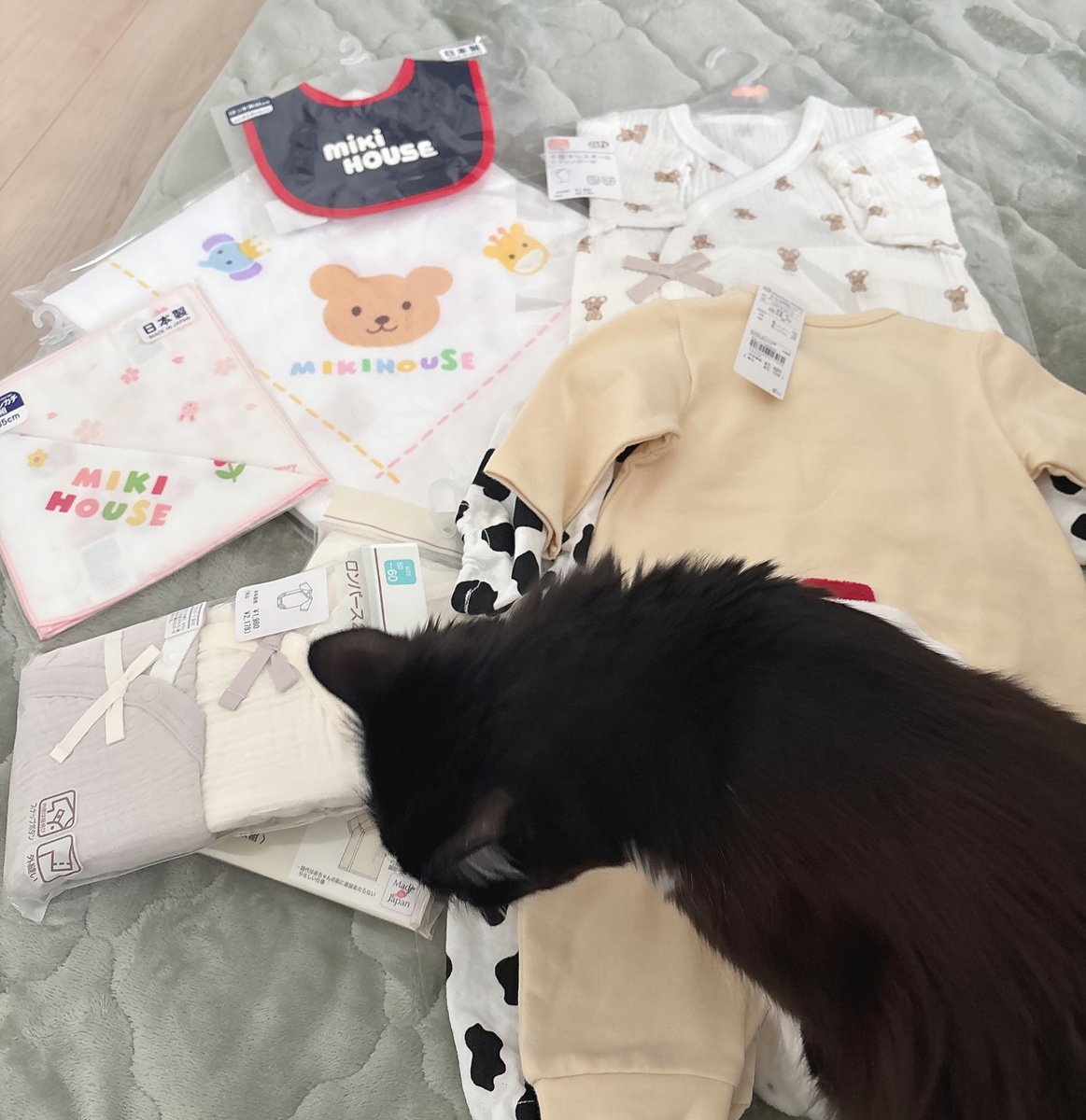 皆さんお久しぶりです♪

この度新しい命を授かりました👦

モデルを卒業する理由となった子ども関係ですが...無事に叶いました🌟

生まれたら久しぶりにカメラマンするぞ^_^