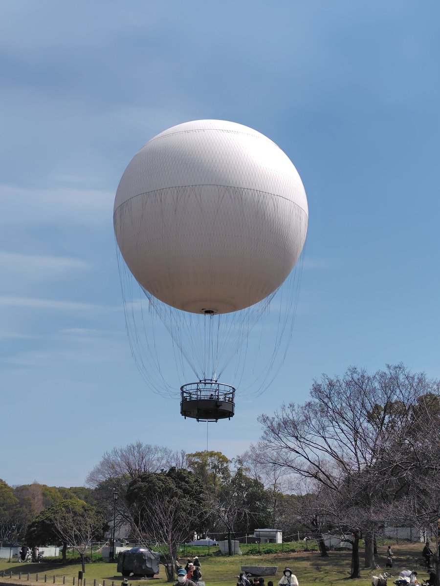 yucom103's tweet photo. 紐解けば堺の初日にチャリで大仙公園に行きました
ミャクミャク写真撮影会は落選したが近くで見れたので満足
��ンチはジョリパで済まし移動して古墳とビジターセンターに寄った
帰りの夕食に焼肉きんぐで満喫しました
#堺バルーン #大仙公園 #ミャクミャク https://t.co/8mtix44Kyq