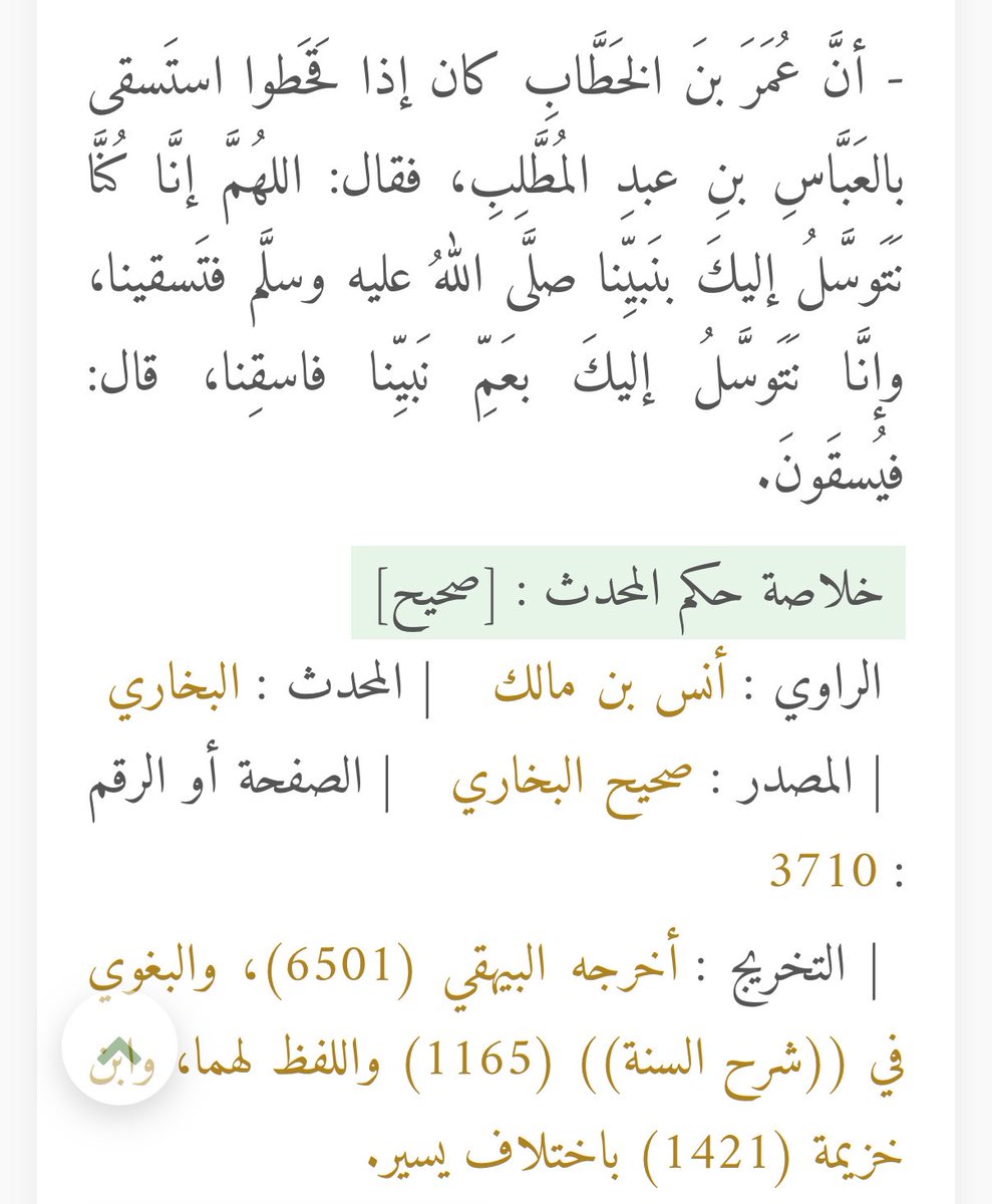 عابِرُ سبيل 🕊️💚 tweet media