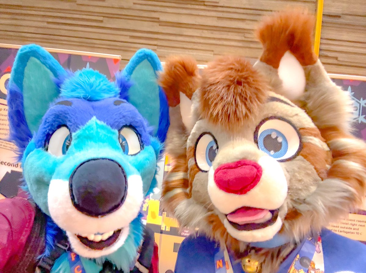 Terry_Husky tweet media