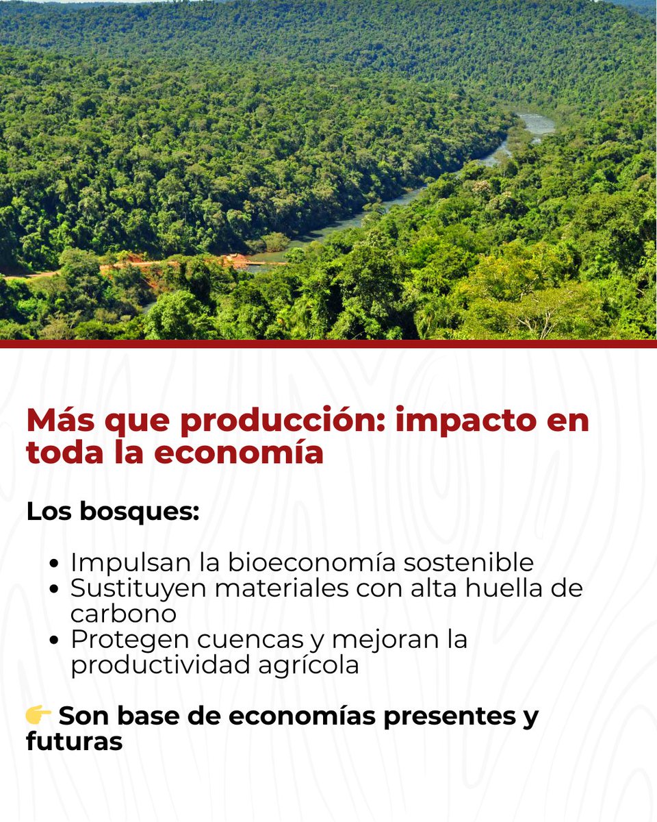 ASORA Madera y Tecnología tweet media