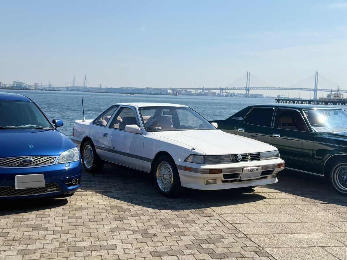 ぽゅぽゅ tweet media