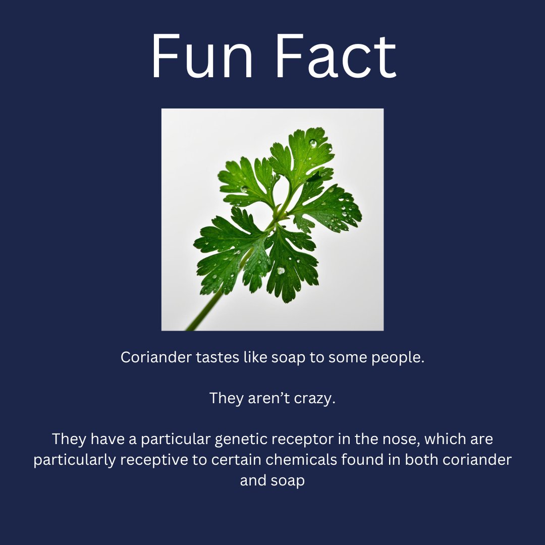 Amberley Security tweet media