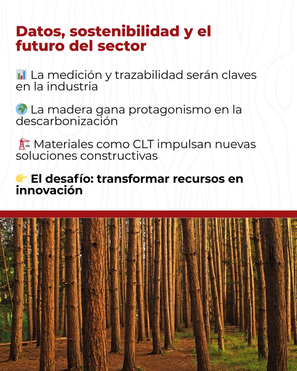 ASORA Madera y Tecnología tweet media