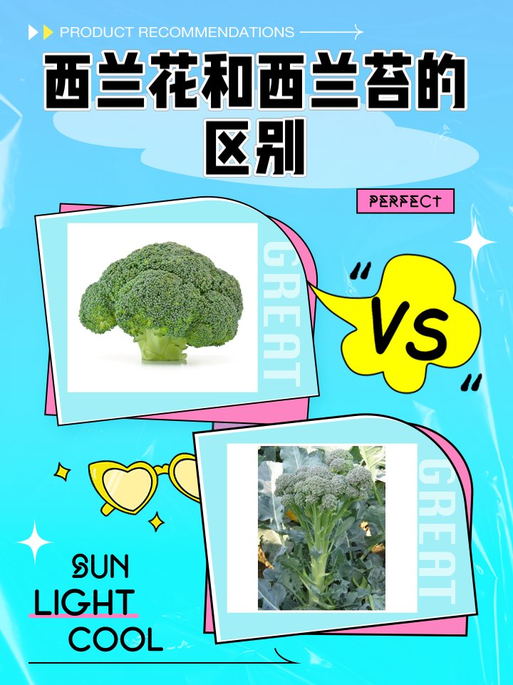 Bill Hines tweet media