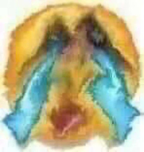 anfill32 tweet media