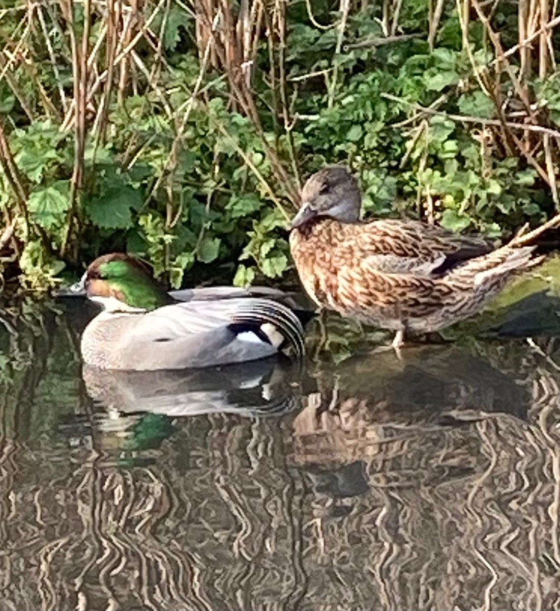 Parody Richard III’s Ghost tweet media