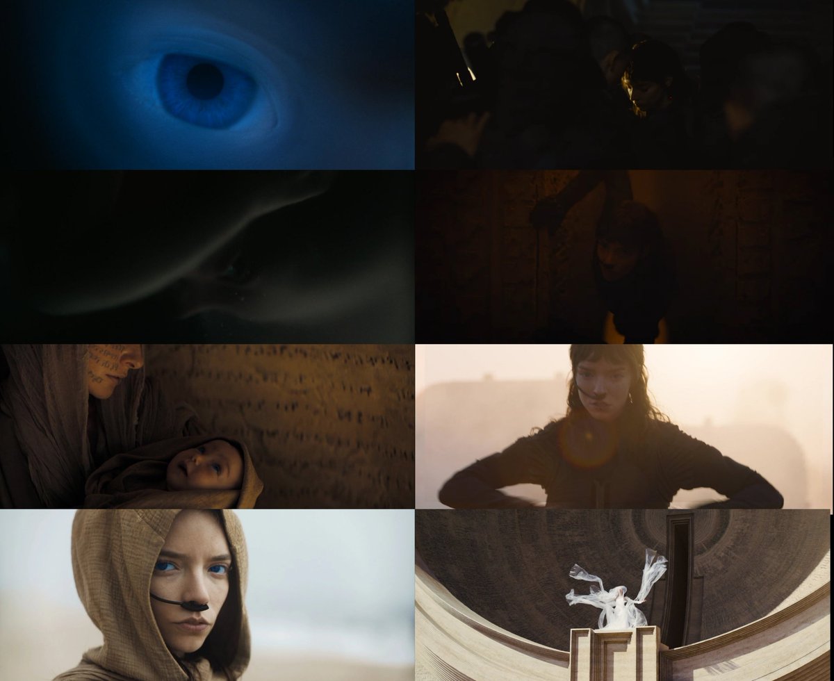 The Sietch of Sci-Fi | tweet media