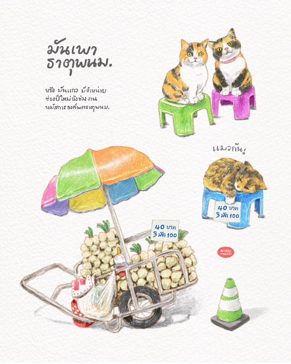 maym00d🎈 tweet media