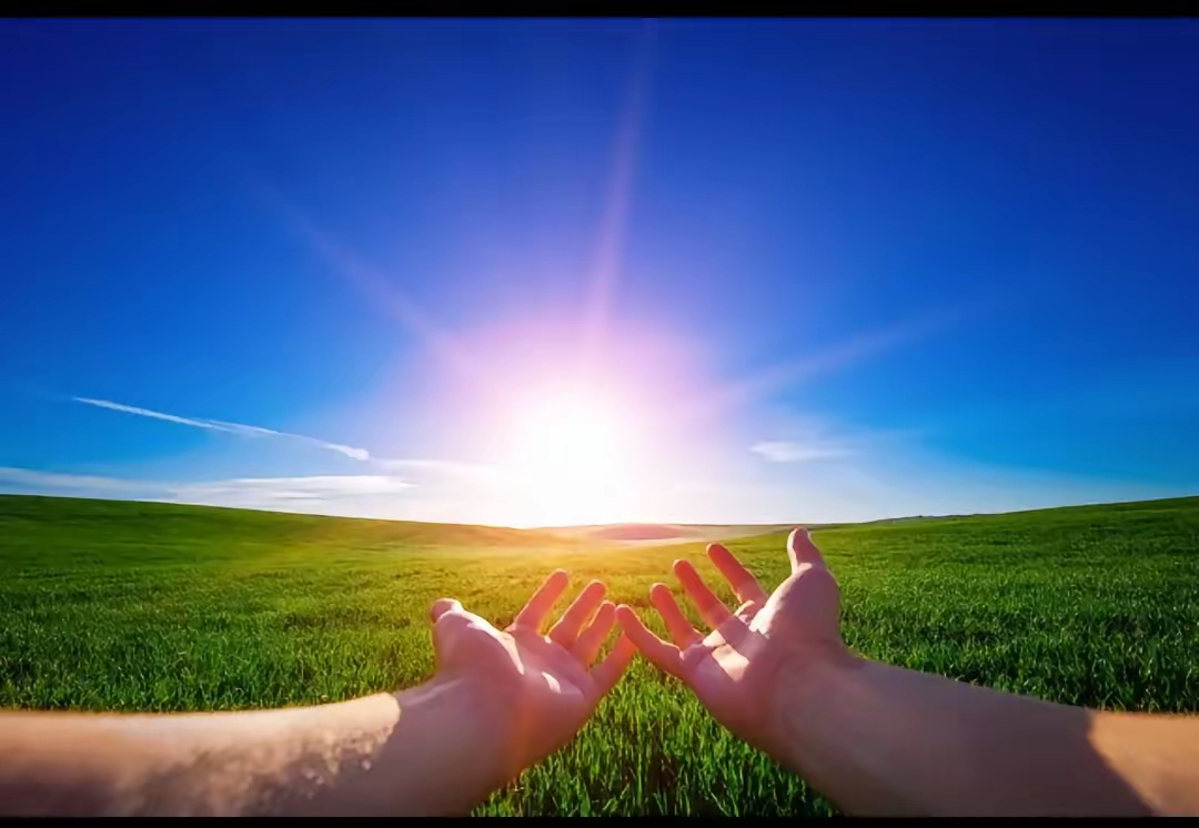 ajenft94.eth tweet media