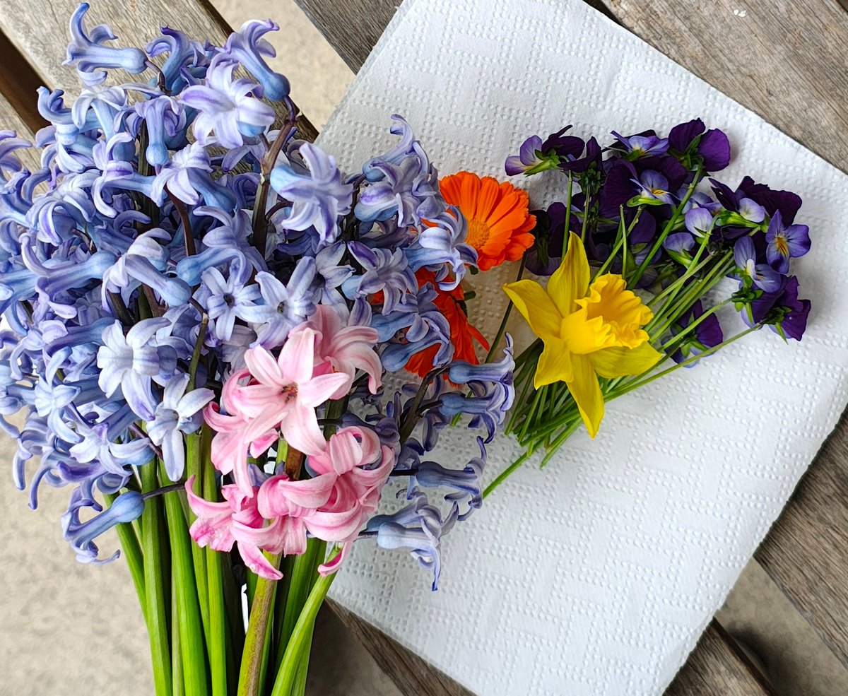 ɢᴇɴɴᴀʀɪɴᴏ ʟᴇꜱʙᴏʟʟᴀʜ tweet media