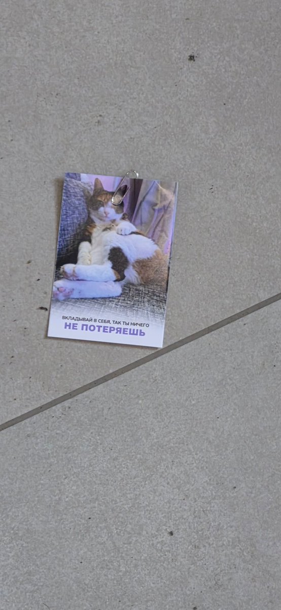 Какой-то такой tweet media