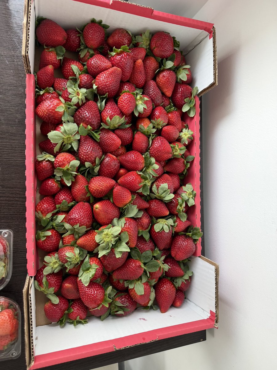 сосиска в тексте tweet media