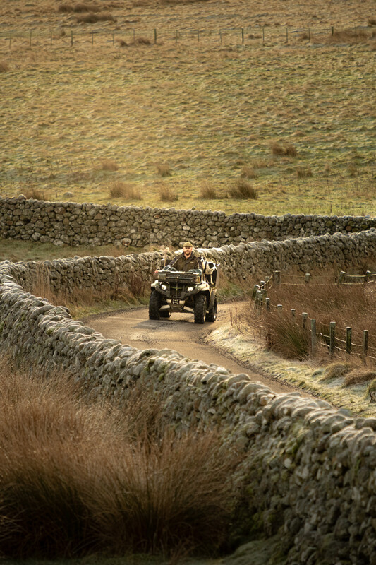 Tony Henderson tweet media