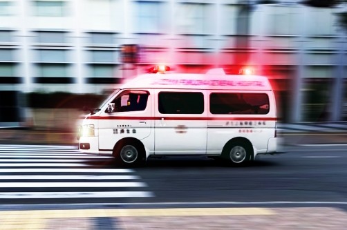 十煮死 tweet media