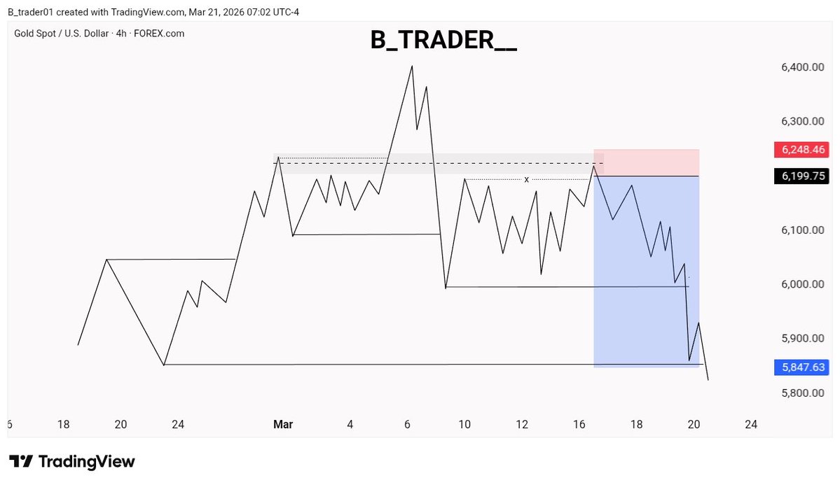 B Trader tweet media