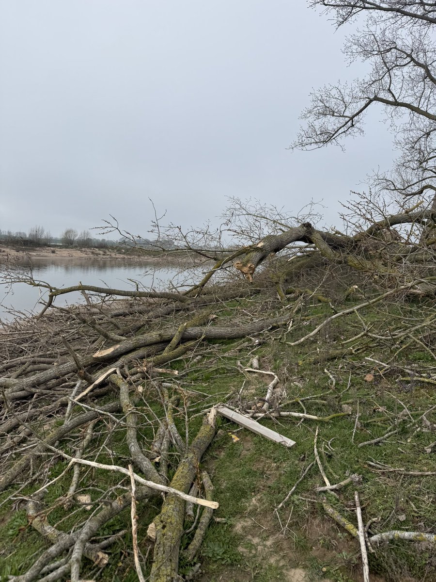 Mario Kock tweet media