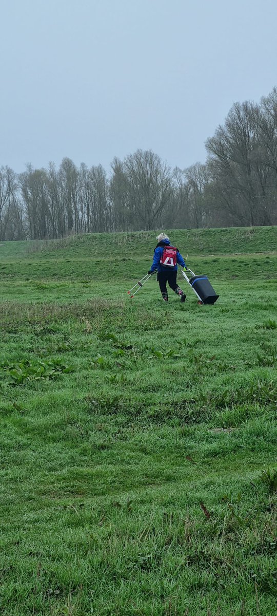 Mario Kock tweet media