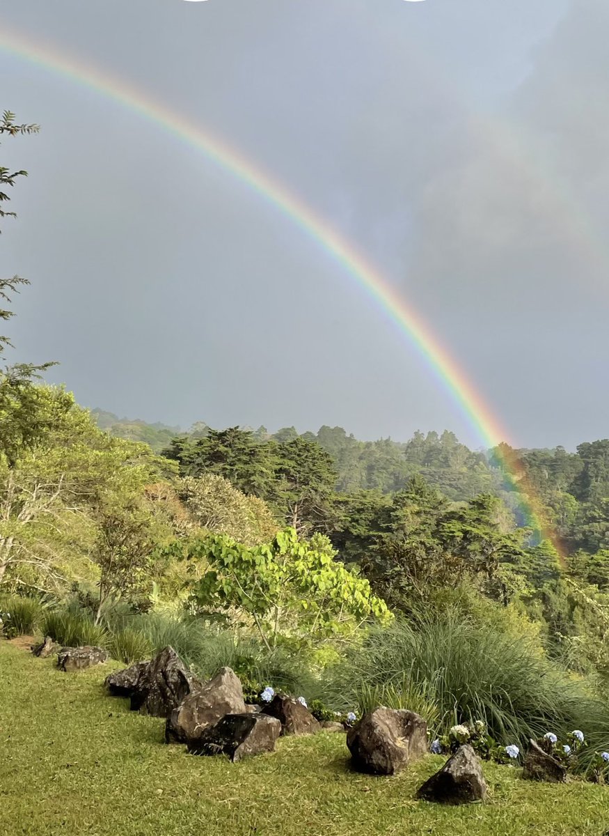 Sixto Porras tweet media