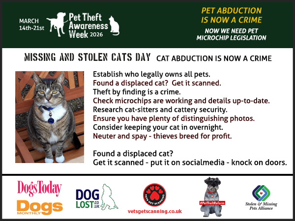 Pet Theft Awareness tweet media