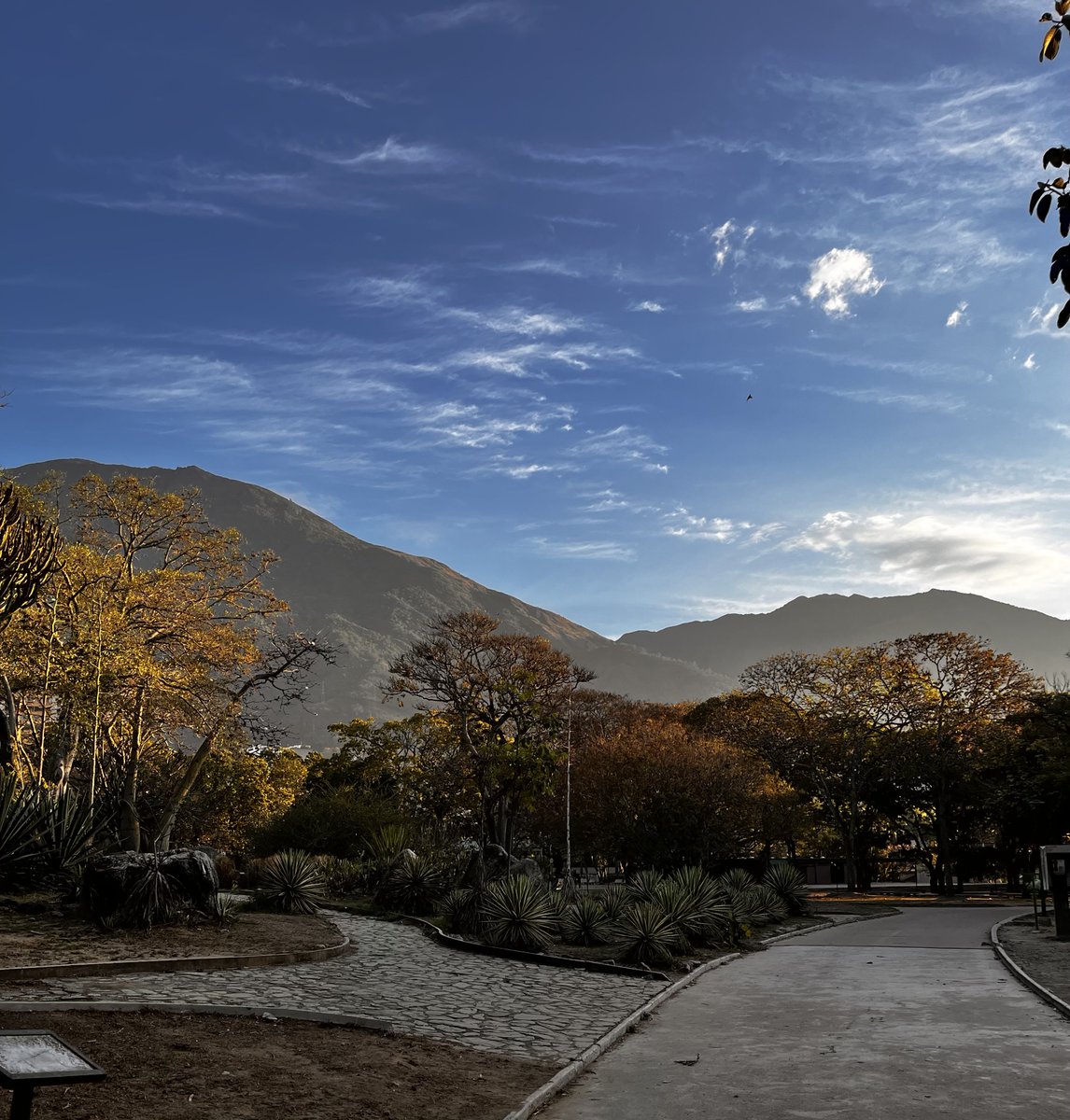 Maria Gabriela Escovar tweet media