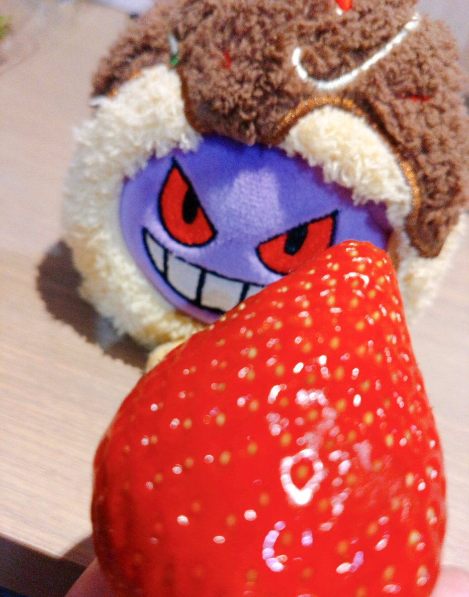 のはね🥟 tweet media