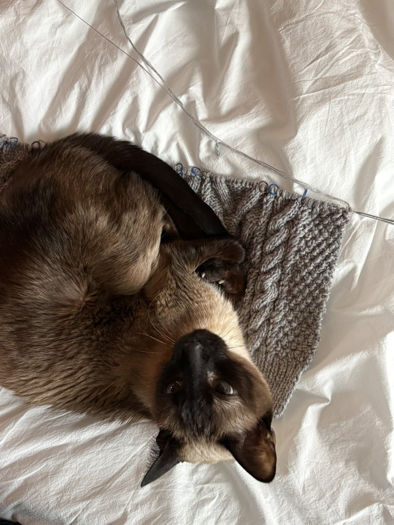 뜨치광이 윤🧶 tweet media