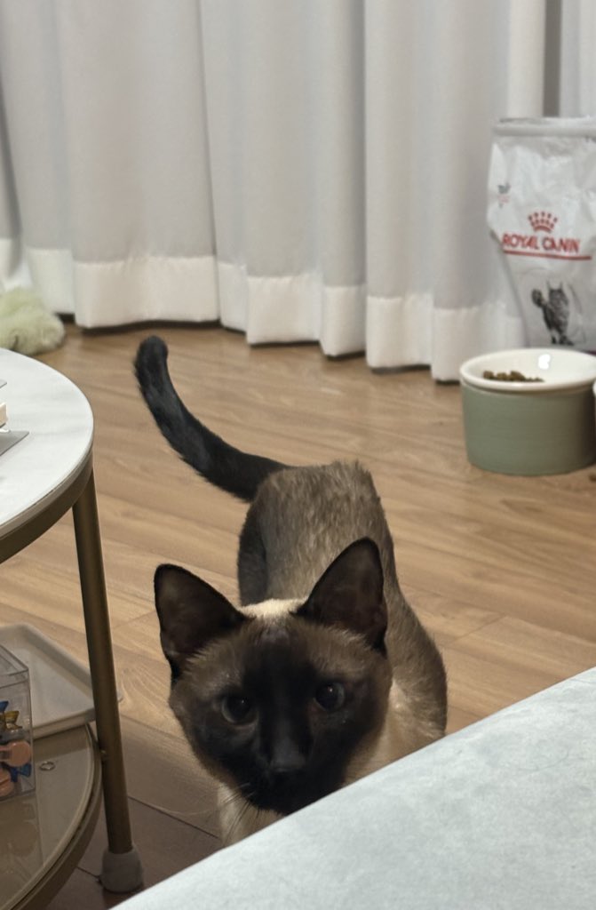 뜨치광이 윤🧶 tweet media