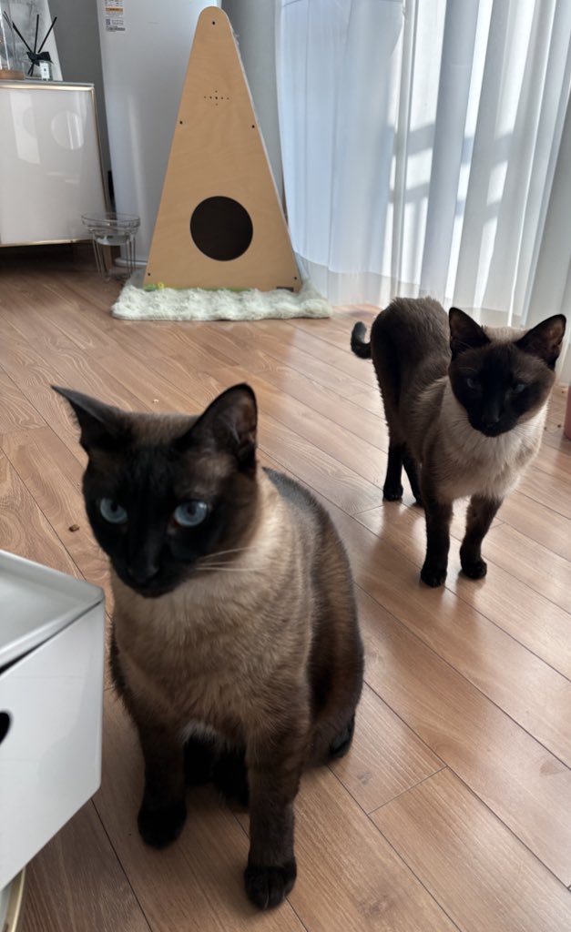 뜨치광이 윤🧶 tweet media