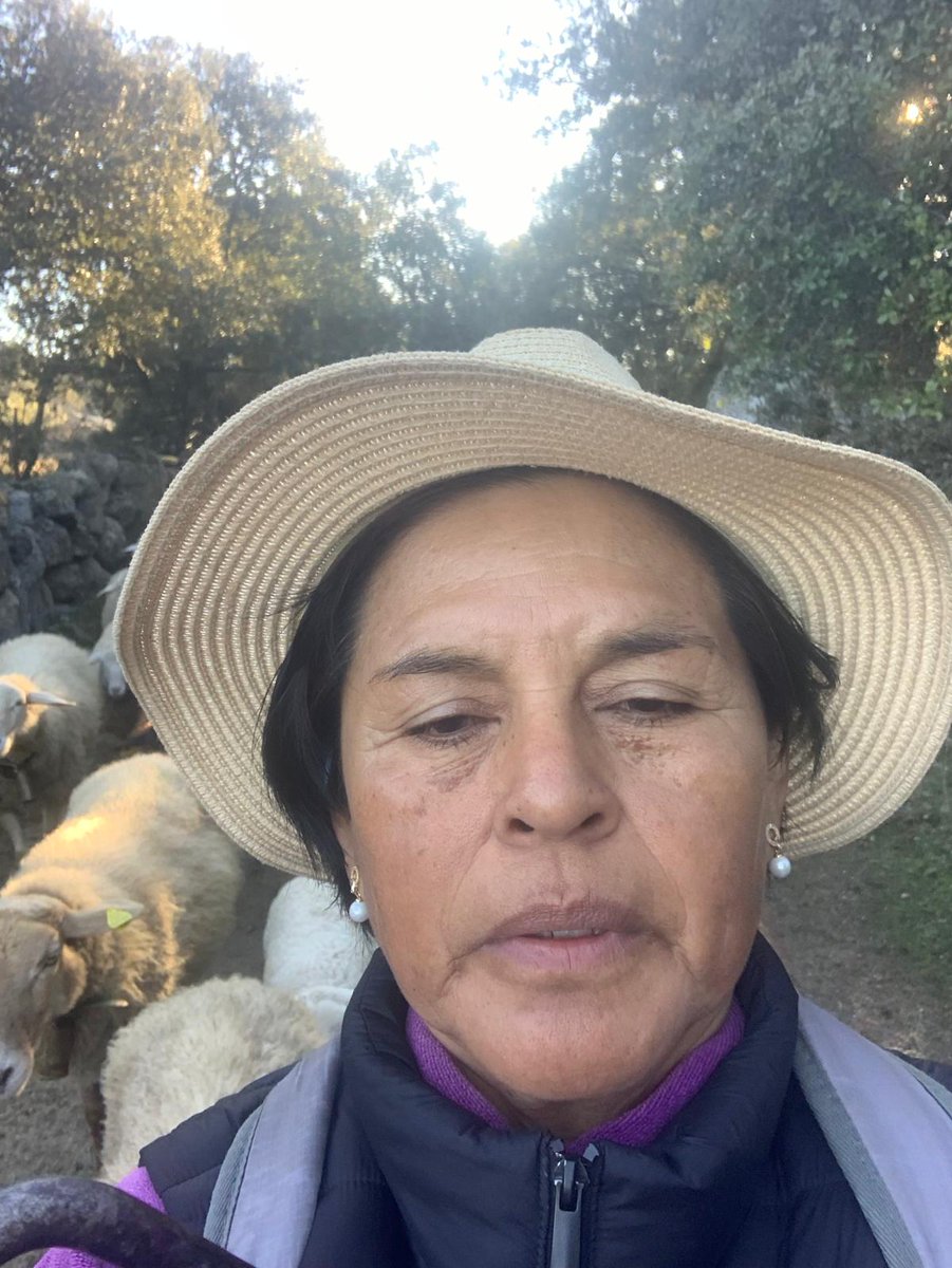 GanaderasenRed tweet media