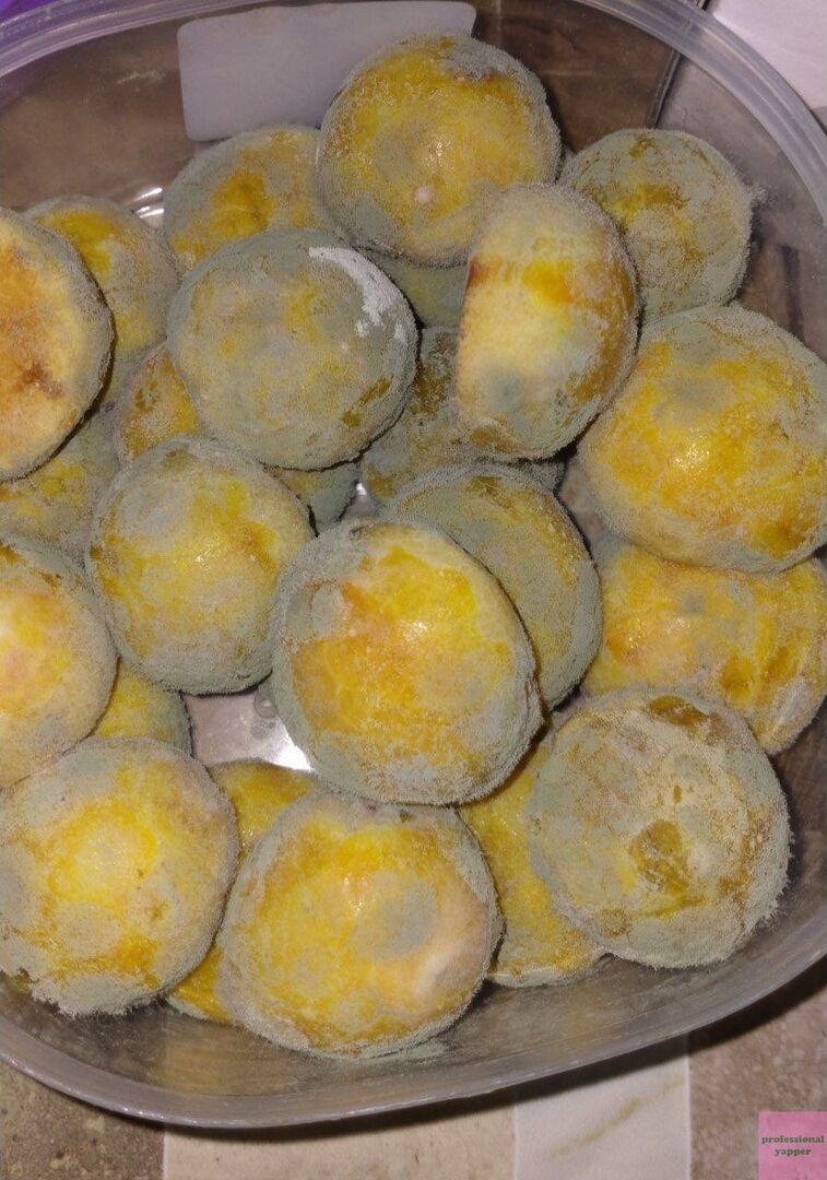 YAPPINGFESS tweet media