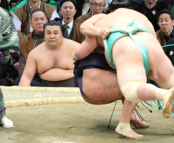 Italianozeki tweet media