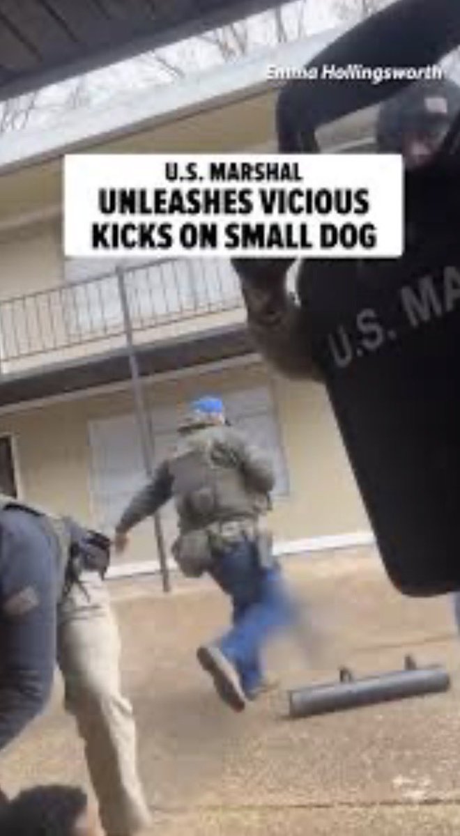 Charlie Newquist🇺🇸🦅🇺🇦 tweet media