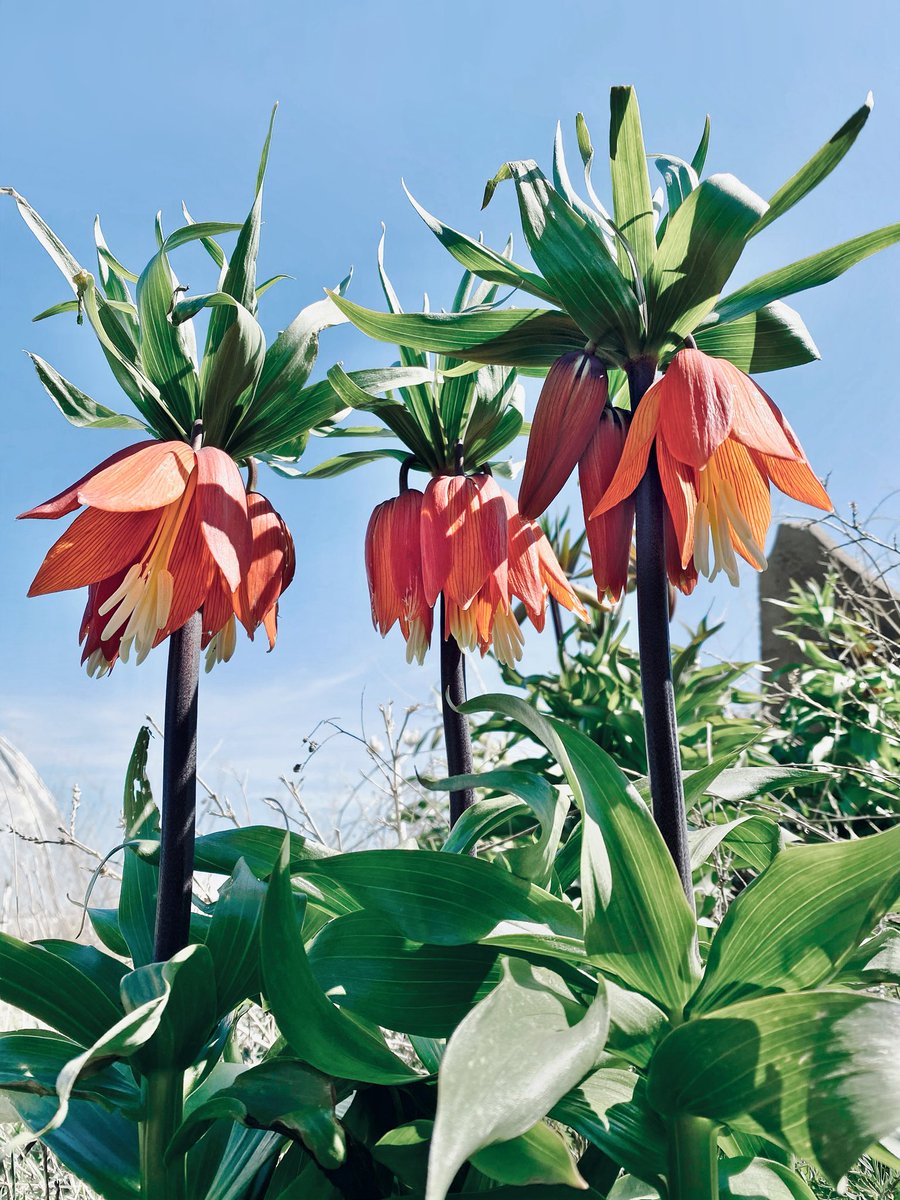 Atlas Dergisi tweet media