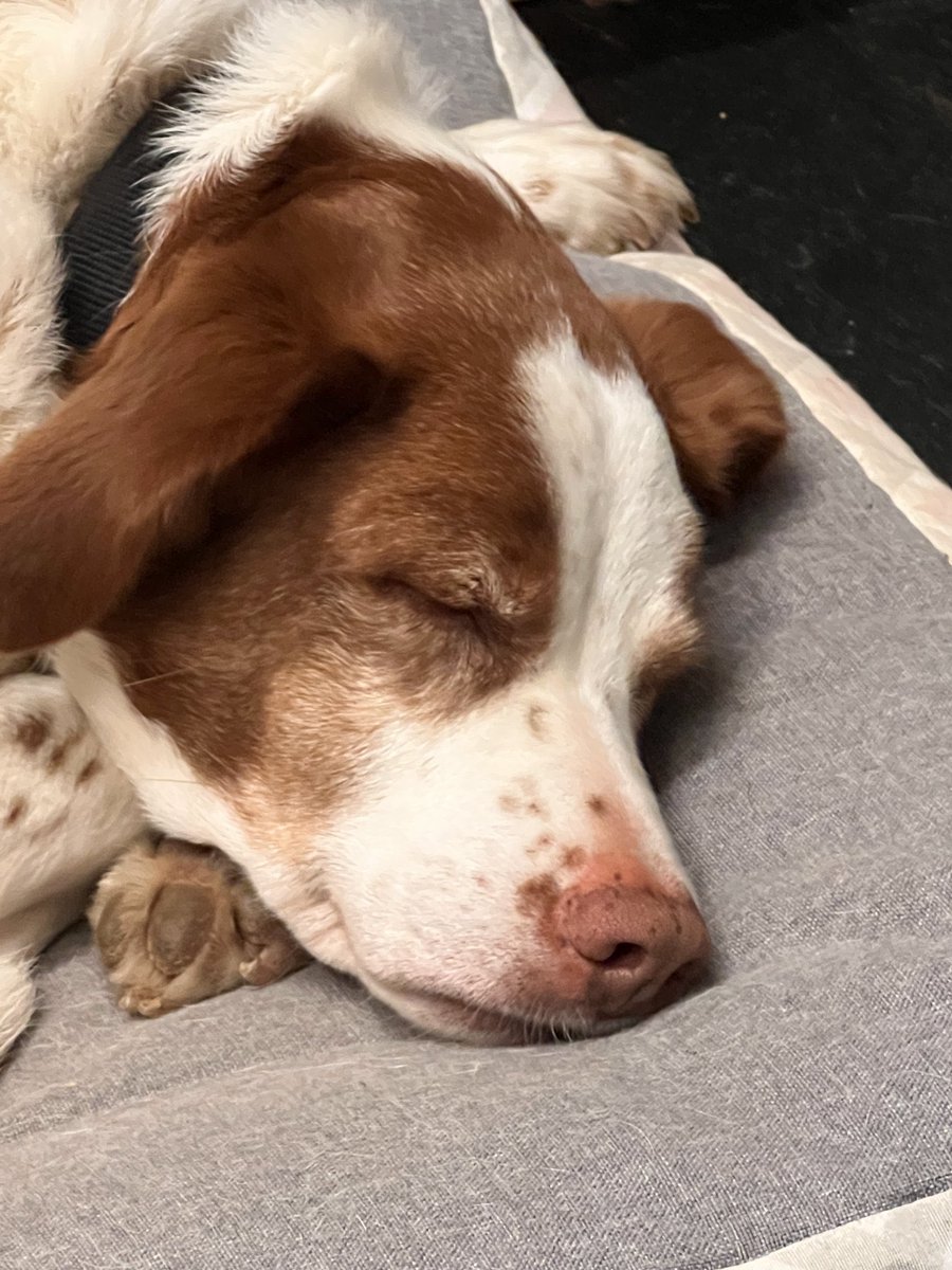 Javier Varela/♥️ 🔻#NO A LA GUERRA 🌹 tweet media