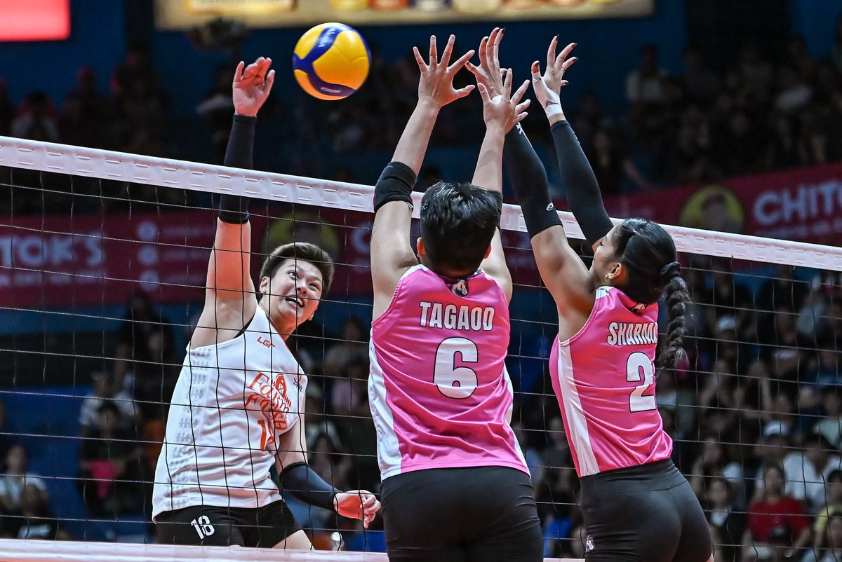 Premier Volleyball League tweet media