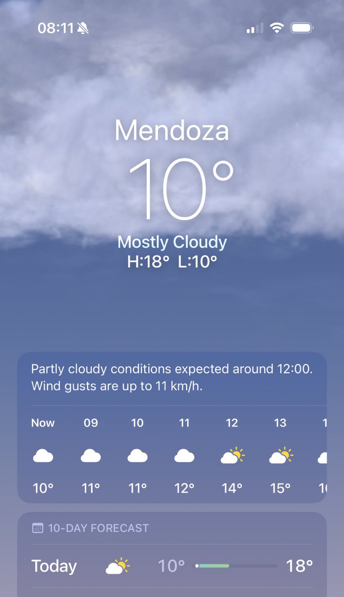 LaBitoria🍷🐶 tweet media