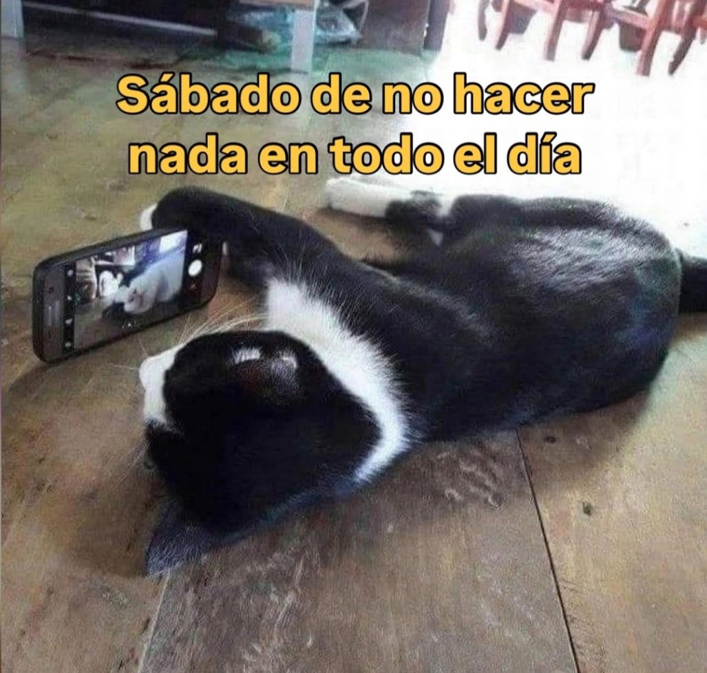 En Júpiter tweet media