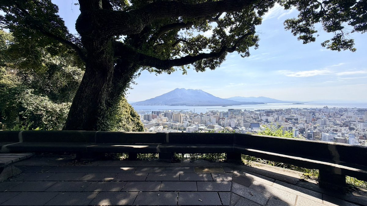 さーぶにんぐ tweet media