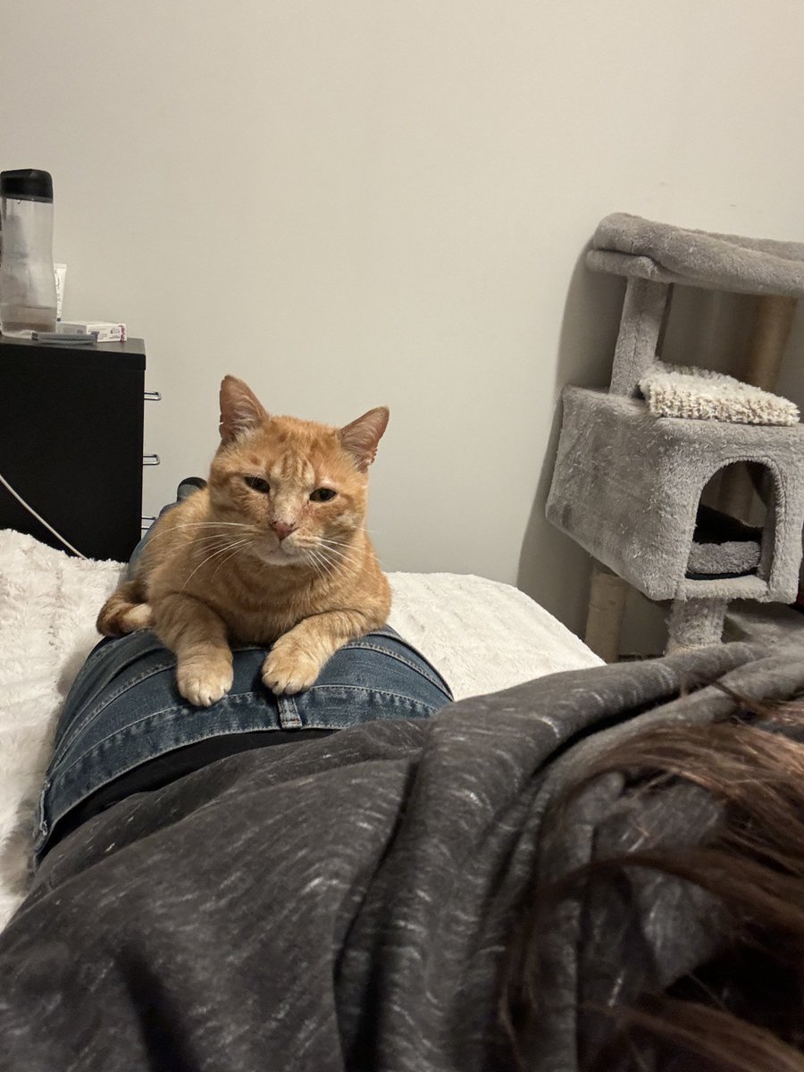 Feilsafe 🖤🐘🤍💜 tweet media