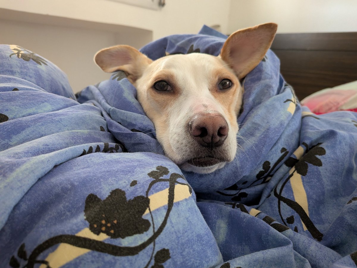 Саша (молодец) 🇮🇱 tweet media