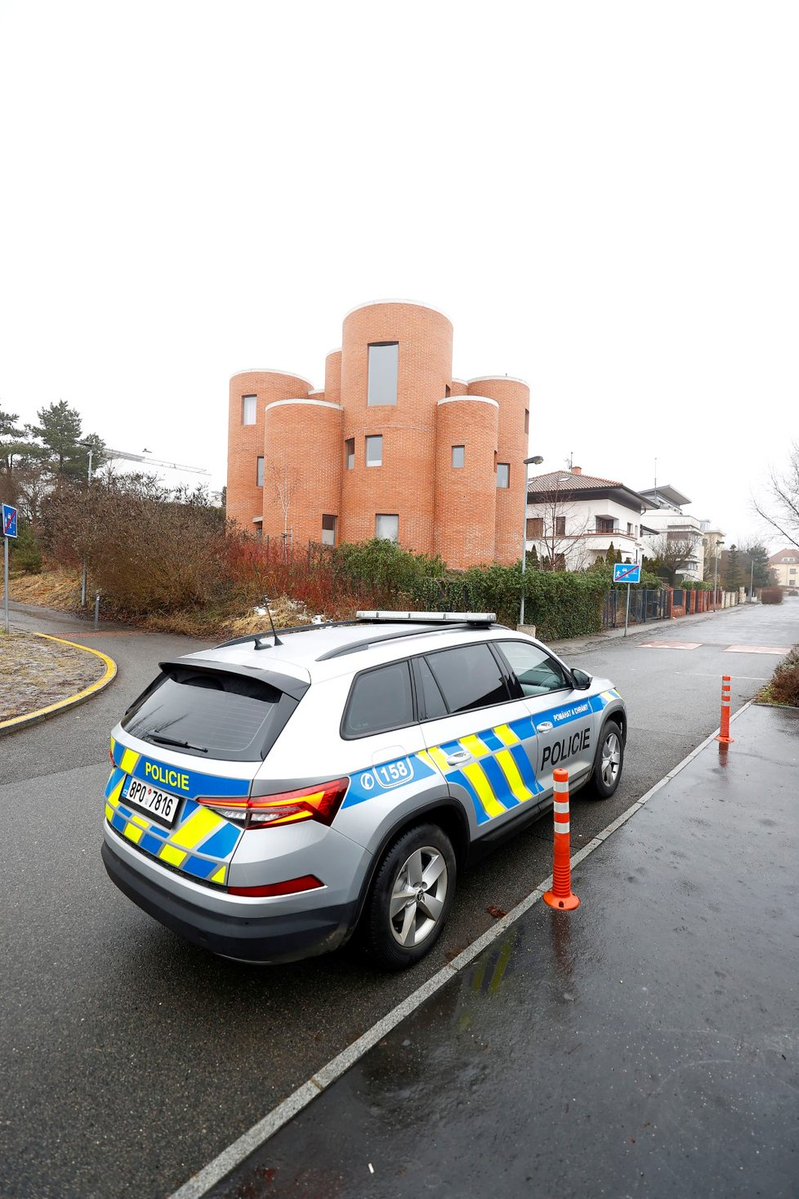 Dostikus tweet media