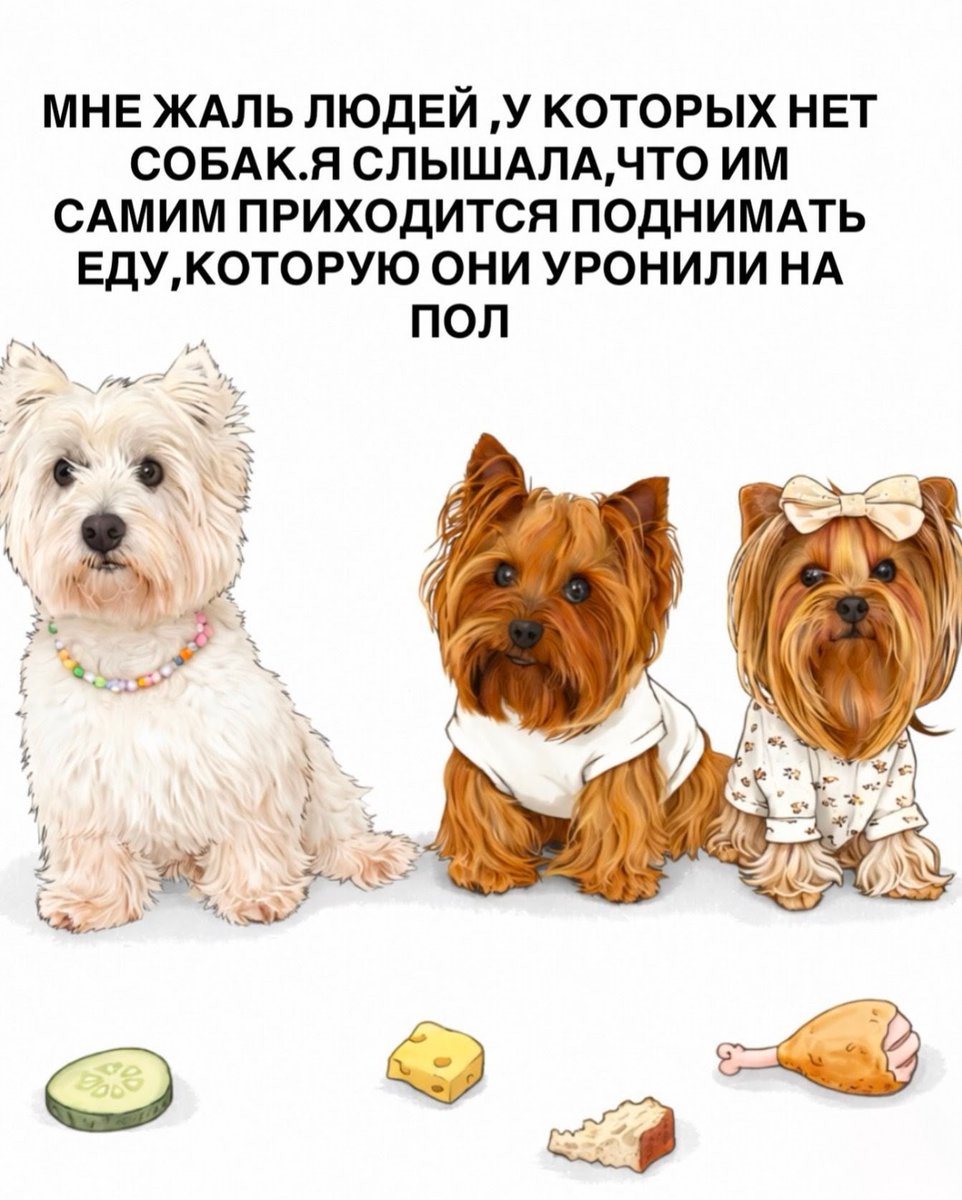 Лерта tweet media