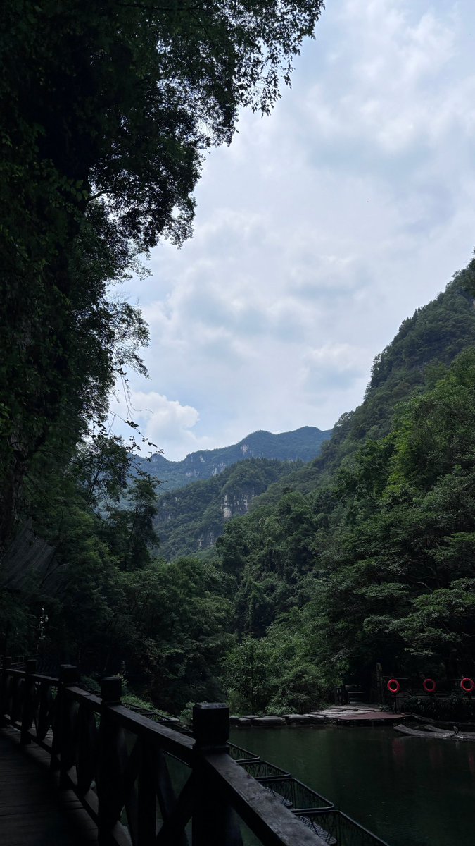 Сичкаренко Сергей tweet media