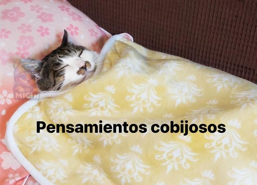 En Júpiter tweet media