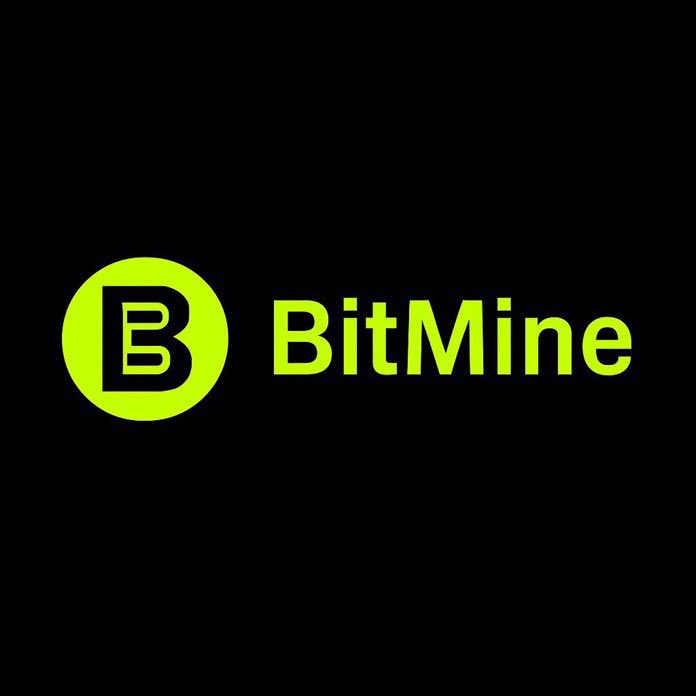 BMNR Bullz tweet media